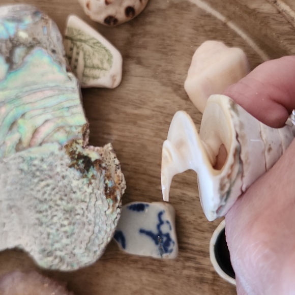 Sea Shell Ring - Picture 5 of 7